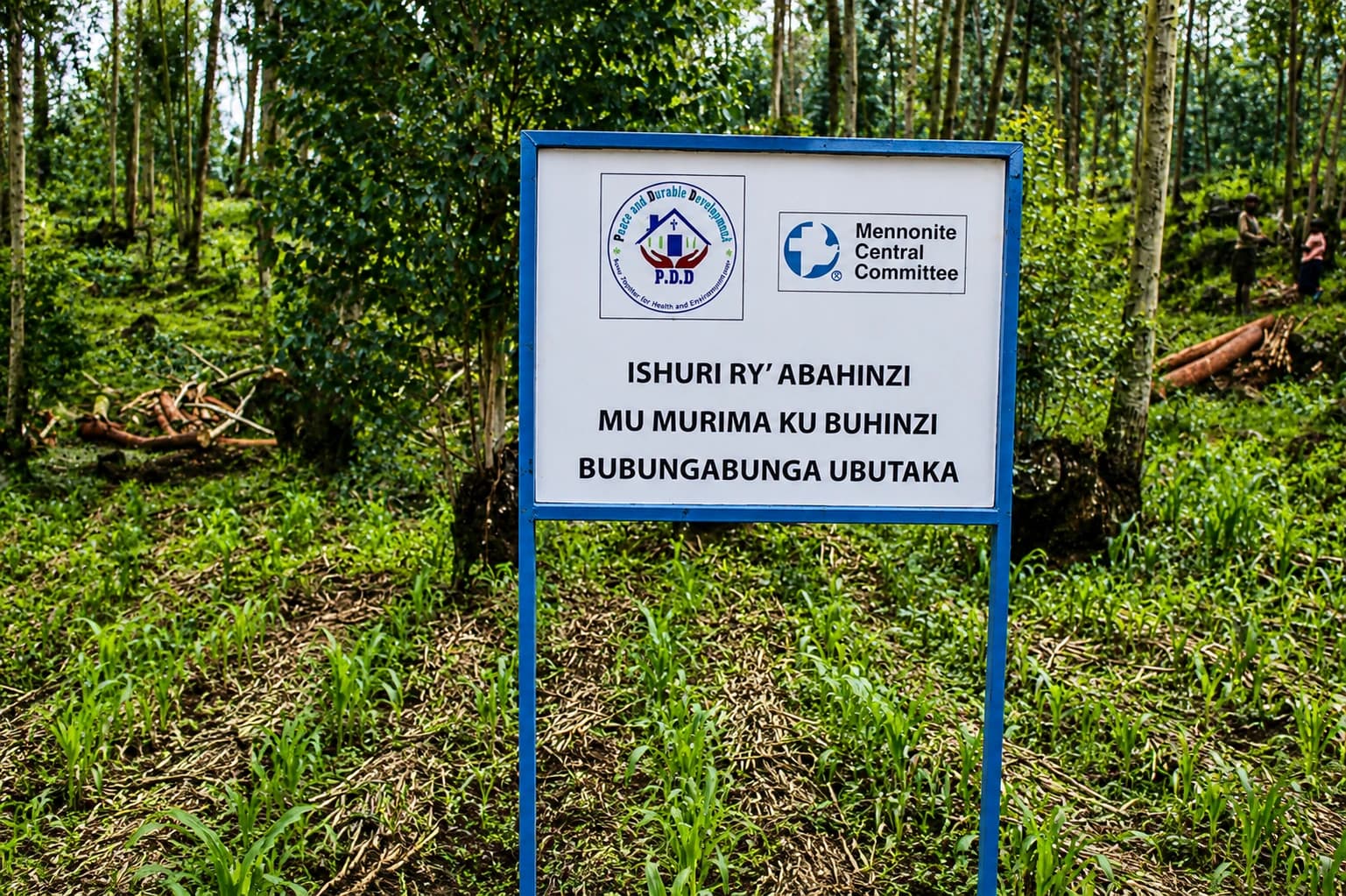 PDD Rwanda Community Work